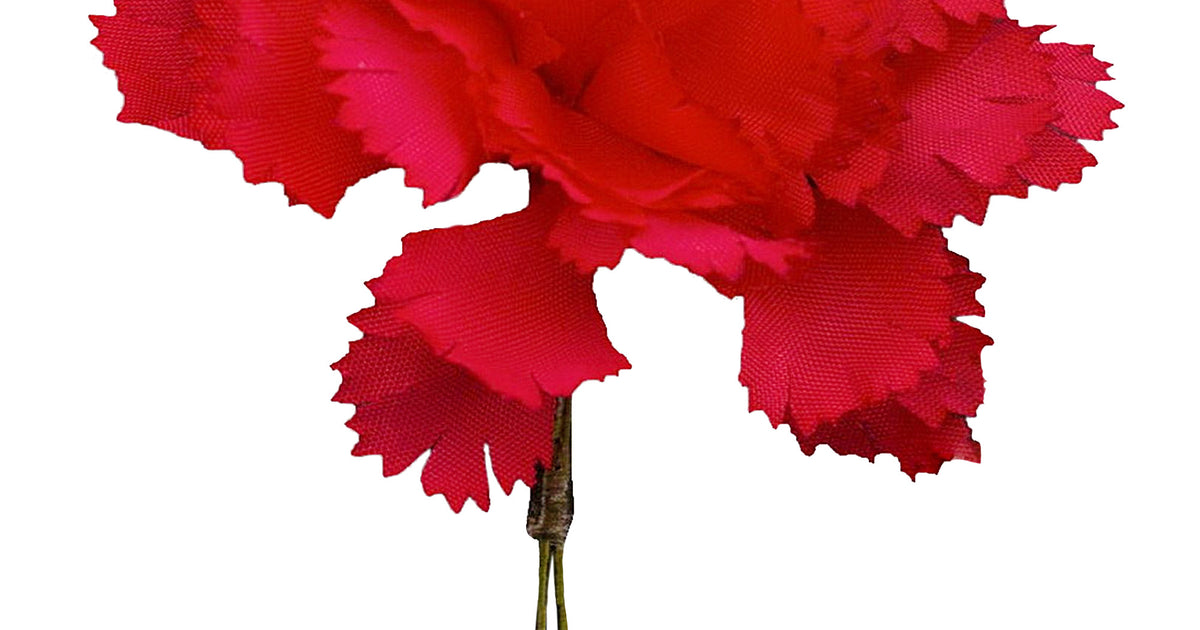 Fort Belvedere Red Carnation Boutonniere