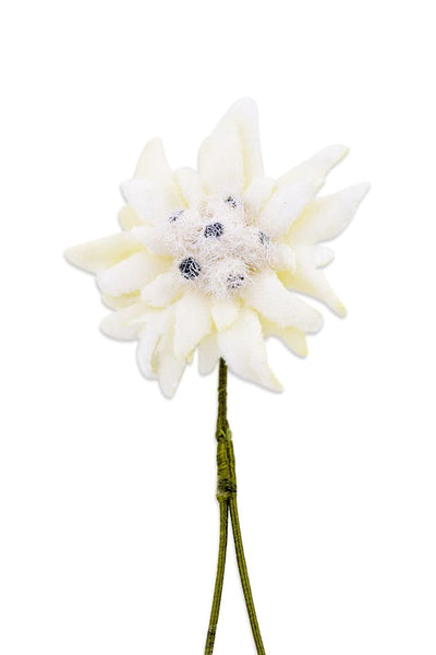 Fort Belvedere Edelweiss Boutonniere