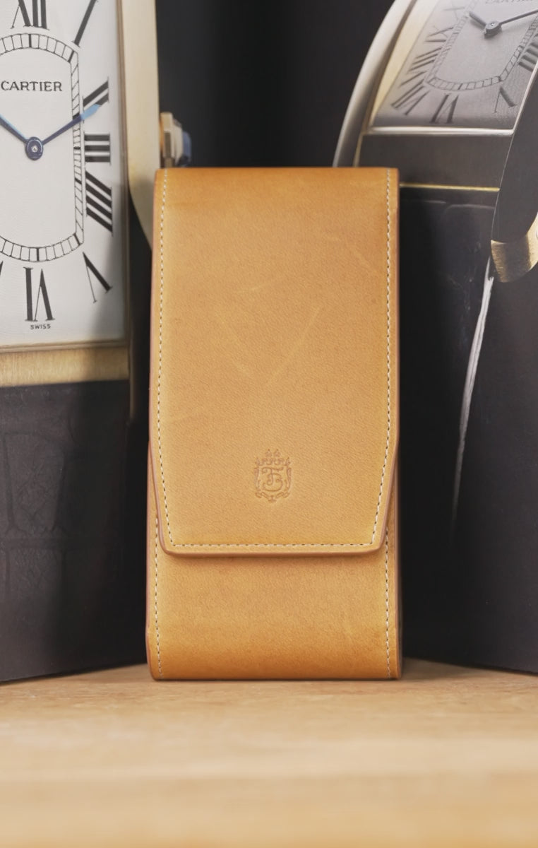 Vintage Gold & Sage Green Suede Leather Watch Case