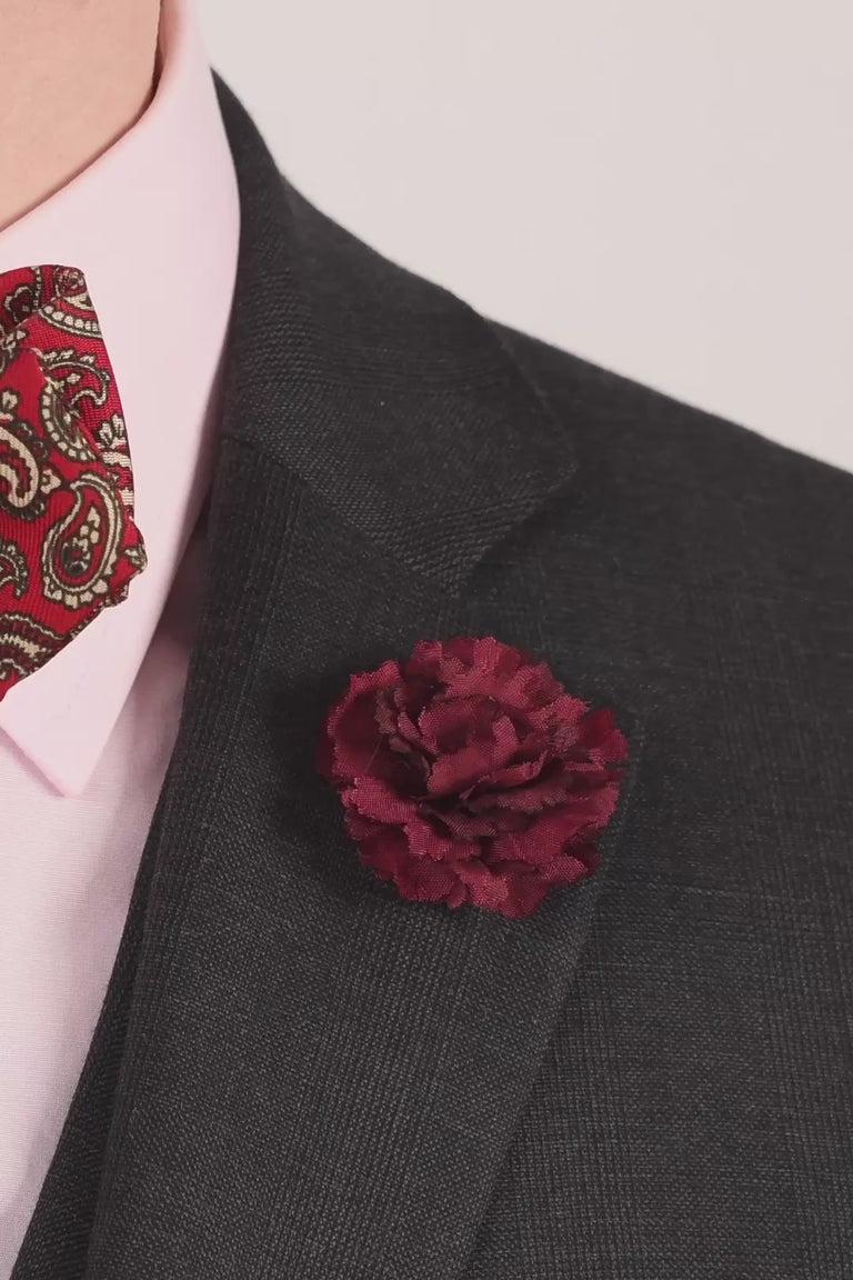 Looping video of a burgundy mini carnation
