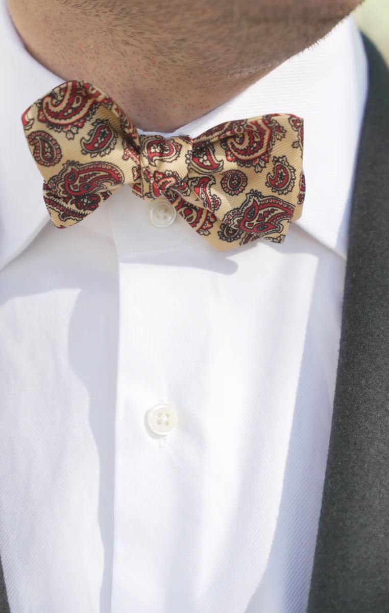 Looping video of models wearing the bow tie